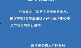 正义人士爆料事件视频播放,事件视频引发社会热议